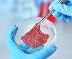 20251.3.020.1I-18506-Processamento de Produtos de Origem Animal II