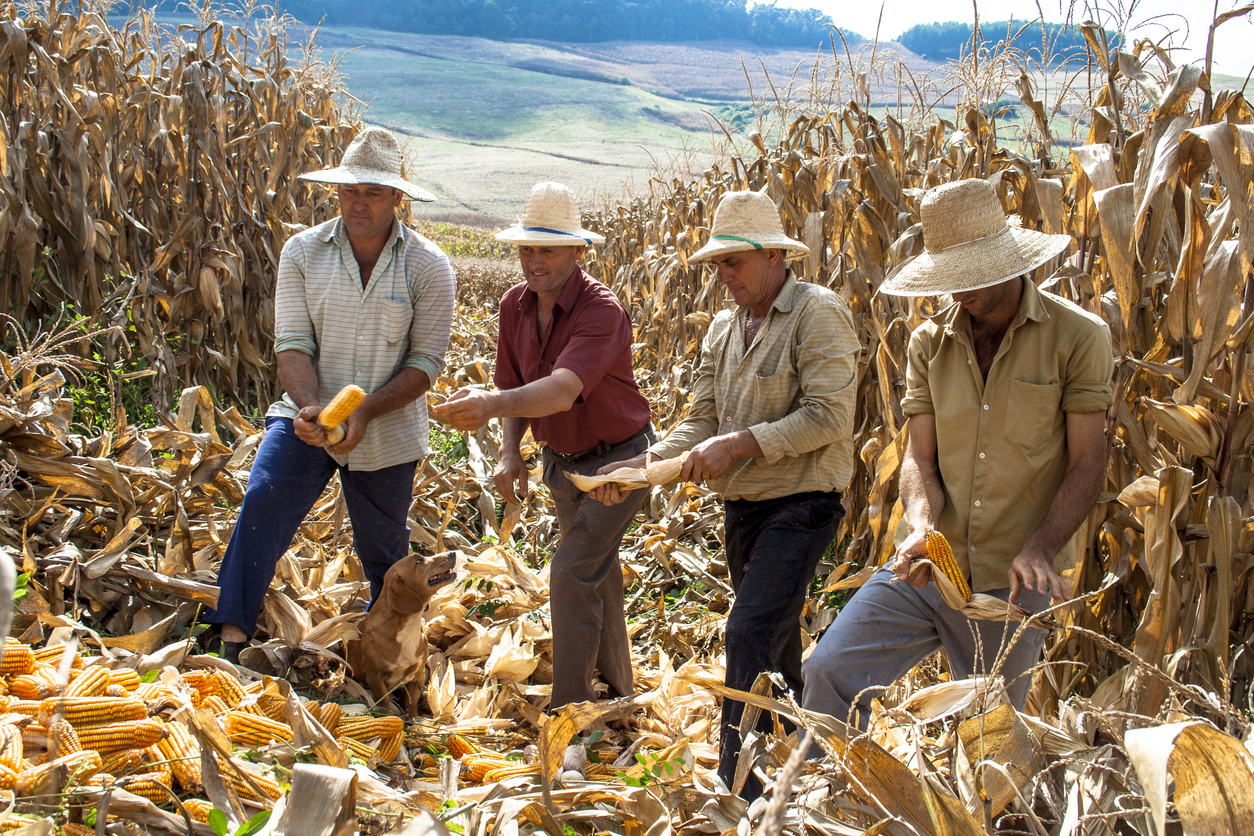 20251.5.143.410.1E-20807-Gestão no Agronegócio II