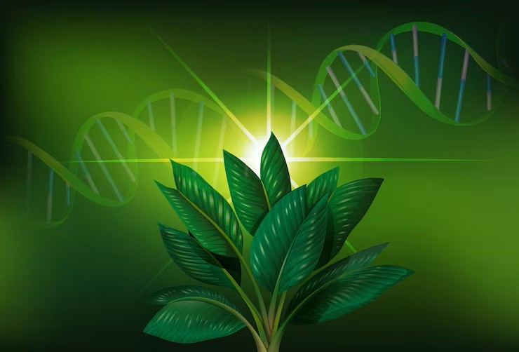 20252.4.126.458.1I-22790-Genética