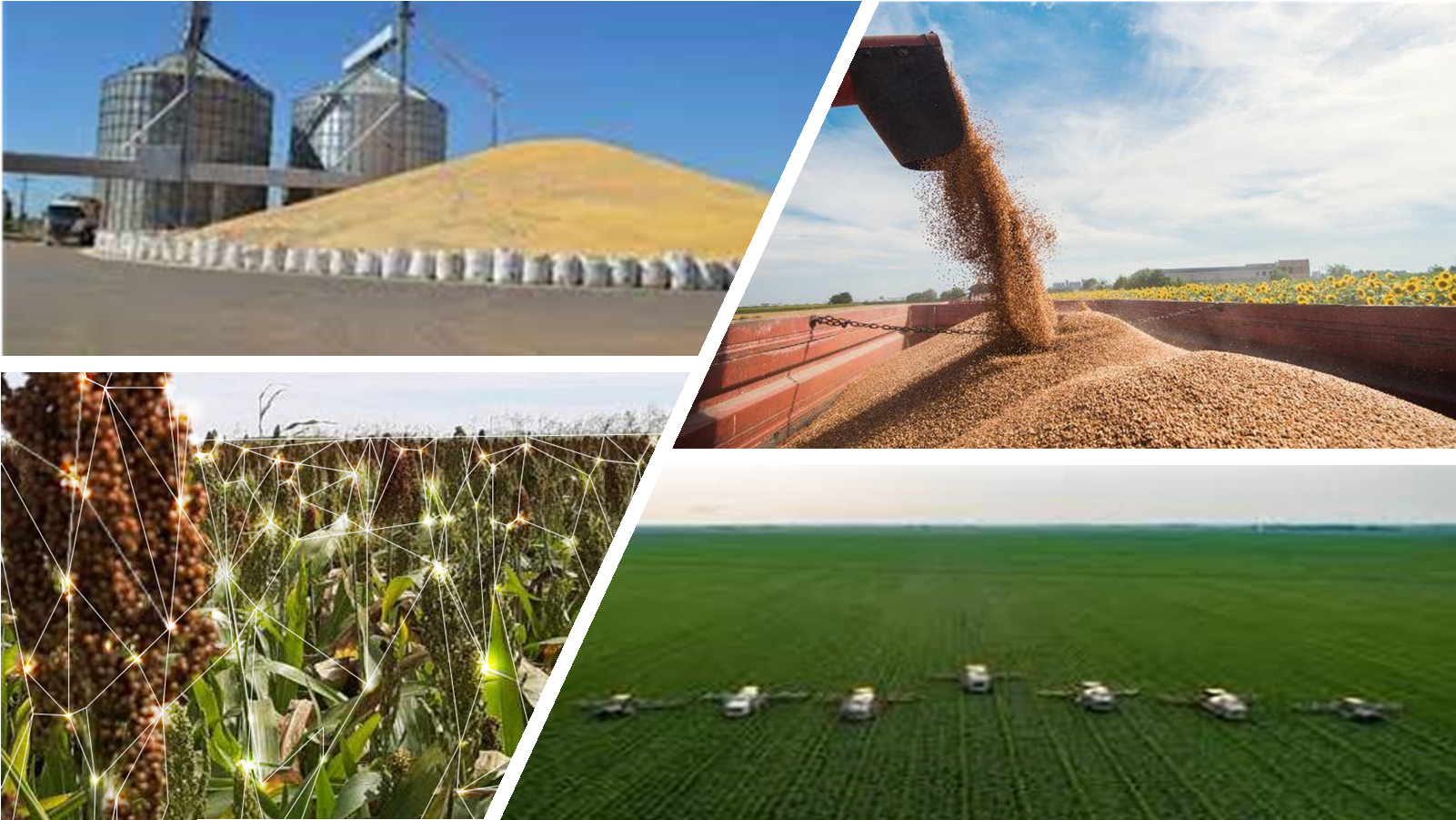 20252.6.143.410.1E-22991-Comercialização e Logística no Agronegócio